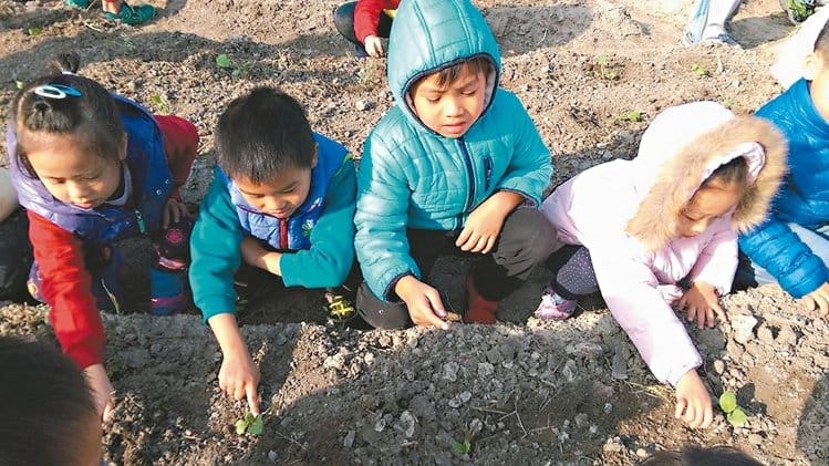 挺神農計畫 興隆國小租地教食農