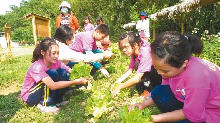 五湖國小校田 食農教育做中學
