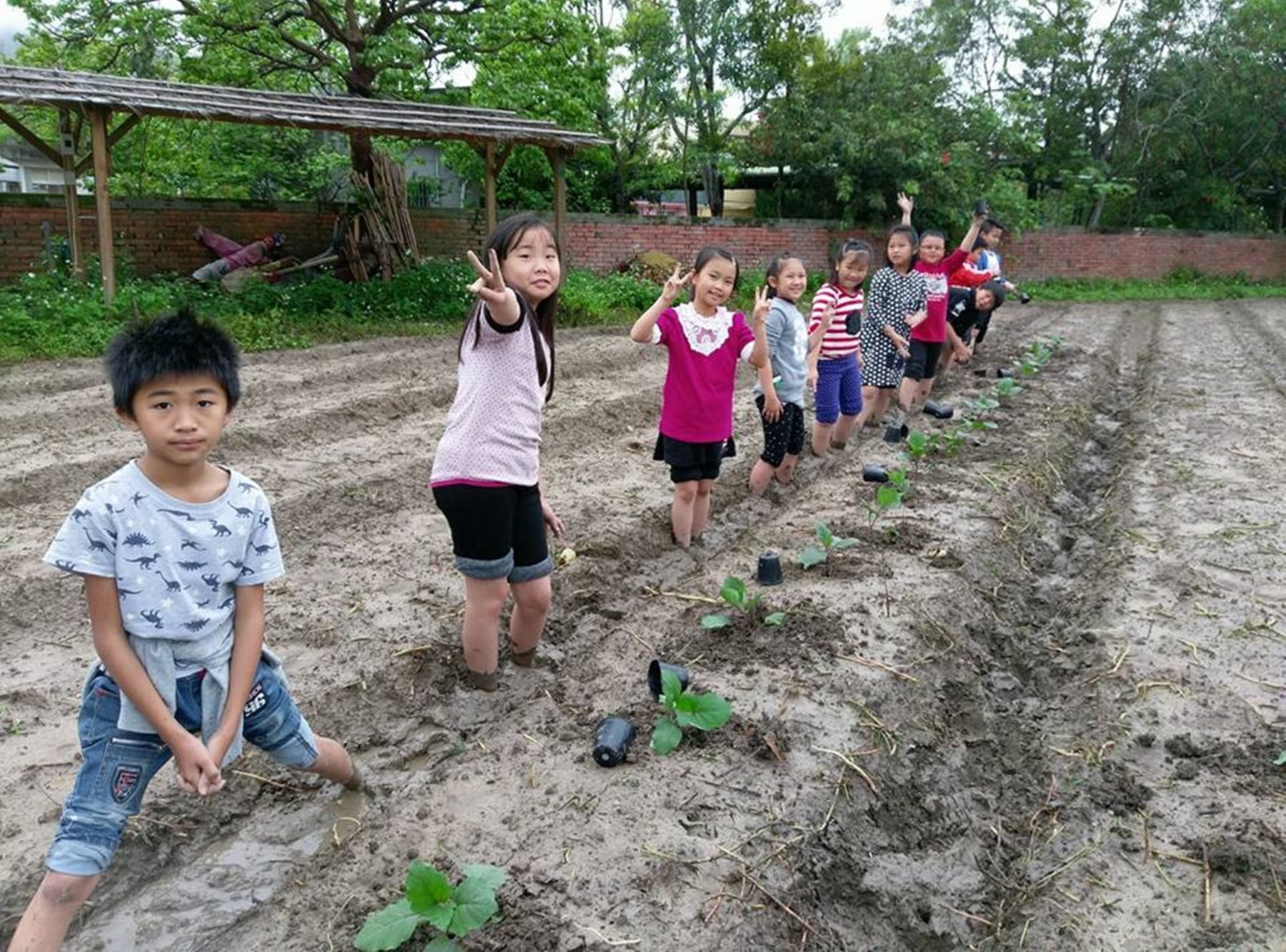 苗栗興隆國小-茄子收成趣